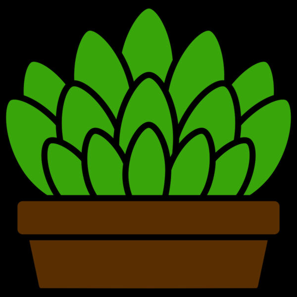 Succulent Plant Thumbnail
