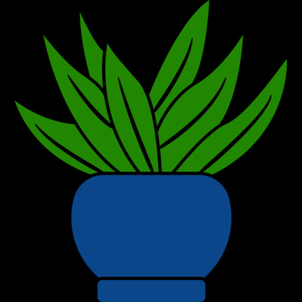 Succulent Plant 2 Thumbnail