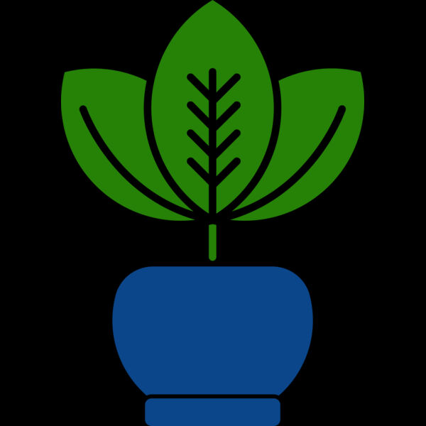 Plant 2 Thumbnail