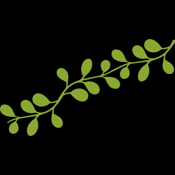 Leaves 13 Thumbnail