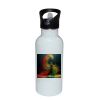 Stainless Bottle with Straw Top Thumbnail