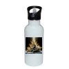 Stainless Bottle with Straw Top Thumbnail