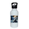 Stainless Bottle with Straw Top Thumbnail