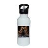 Stainless Bottle with Straw Top Thumbnail