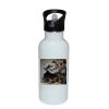 Stainless Bottle with Straw Top Thumbnail