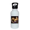 Stainless Bottle with Straw Top Thumbnail