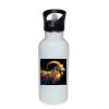 Stainless Bottle with Straw Top Thumbnail
