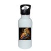 Stainless Bottle with Straw Top Thumbnail