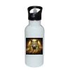 Stainless Bottle with Straw Top Thumbnail