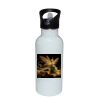 Stainless Bottle with Straw Top Thumbnail