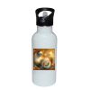 Stainless Bottle with Straw Top Thumbnail