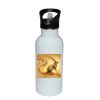 Stainless Bottle with Straw Top Thumbnail