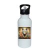 Stainless Bottle with Straw Top Thumbnail