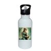 Stainless Bottle with Straw Top Thumbnail