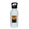 Stainless Bottle with Straw Top Thumbnail
