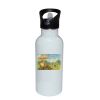 Stainless Bottle with Straw Top Thumbnail