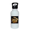 Stainless Bottle with Straw Top Thumbnail