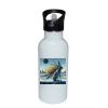 Stainless Bottle with Straw Top Thumbnail