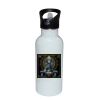 Stainless Bottle with Straw Top Thumbnail
