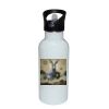 Stainless Bottle with Straw Top Thumbnail