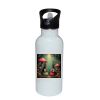 Stainless Bottle with Straw Top Thumbnail