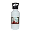 Stainless Bottle with Straw Top Thumbnail
