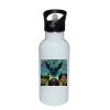 Stainless Bottle with Straw Top Thumbnail