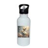 Stainless Bottle with Straw Top Thumbnail