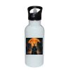 Stainless Bottle with Straw Top Thumbnail