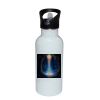 Stainless Bottle with Straw Top Thumbnail