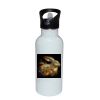 Stainless Bottle with Straw Top Thumbnail