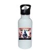 Stainless Bottle with Straw Top Thumbnail