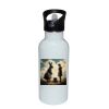 Stainless Bottle with Straw Top Thumbnail